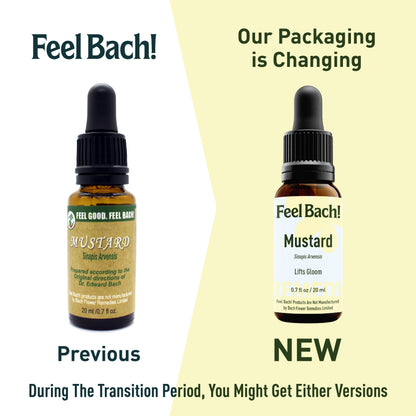 Mustard Flower Essence