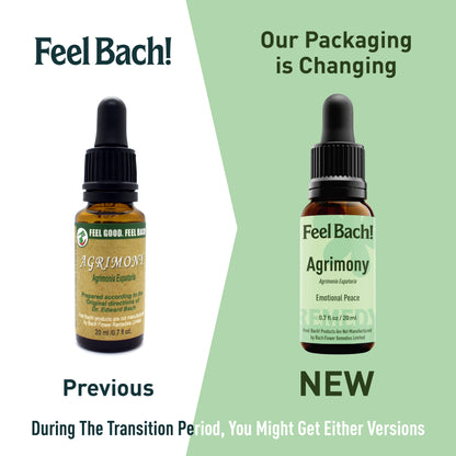 Agrimony Flower Essence