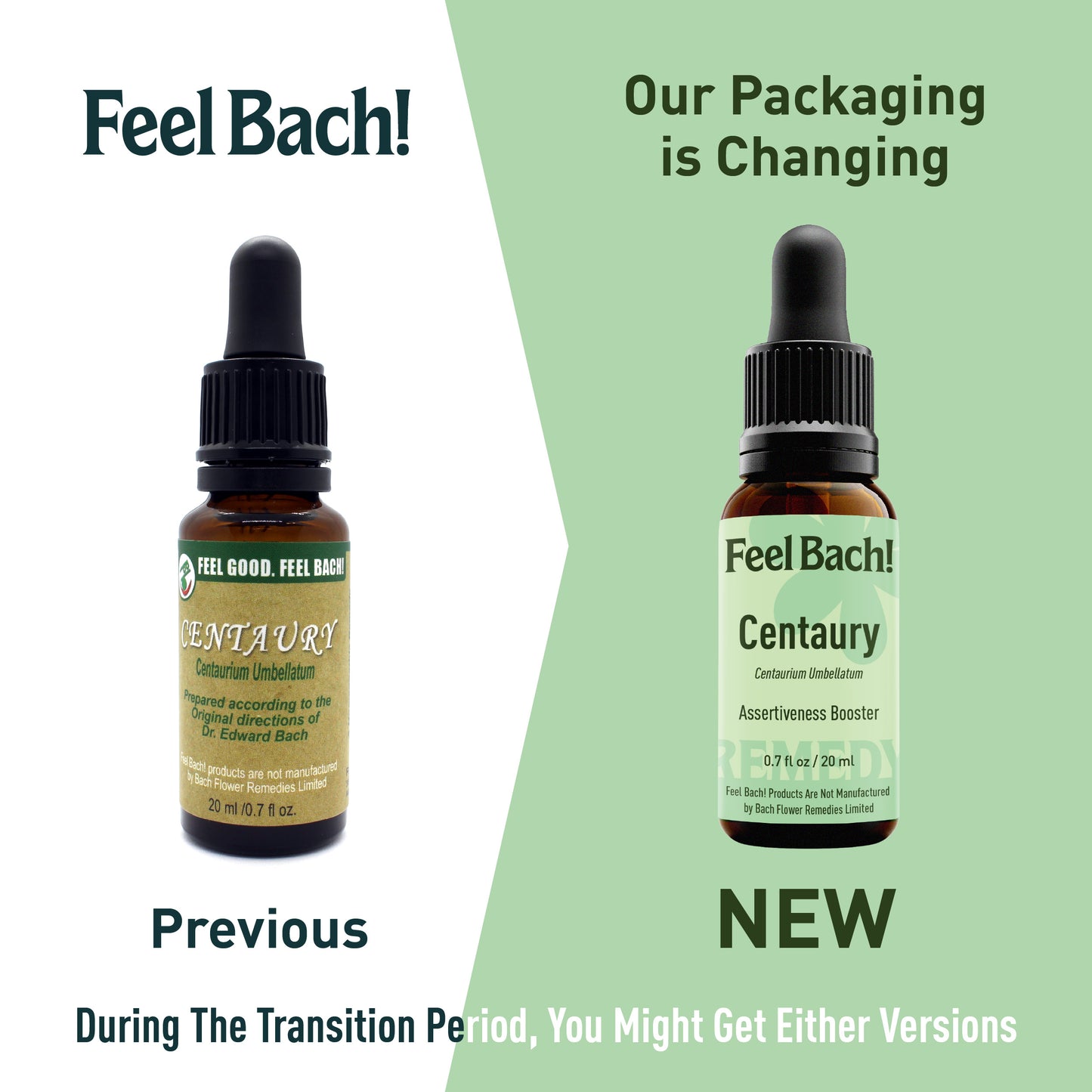 Centaury Flower Essence