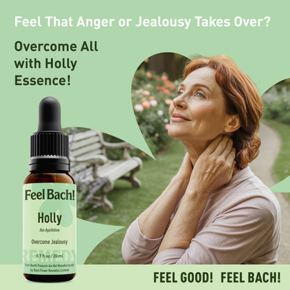 Holly Flower Essence