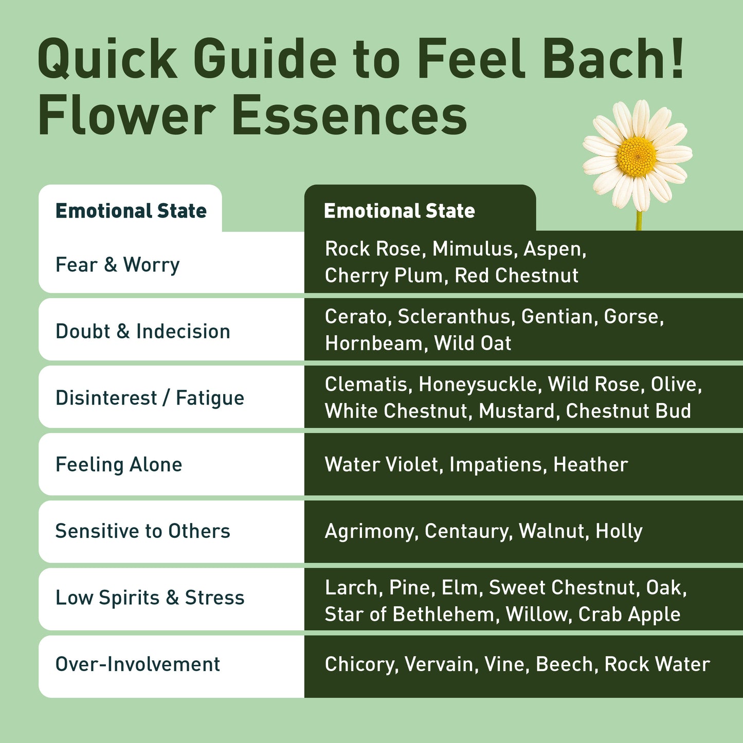 Walnut Flower Essence