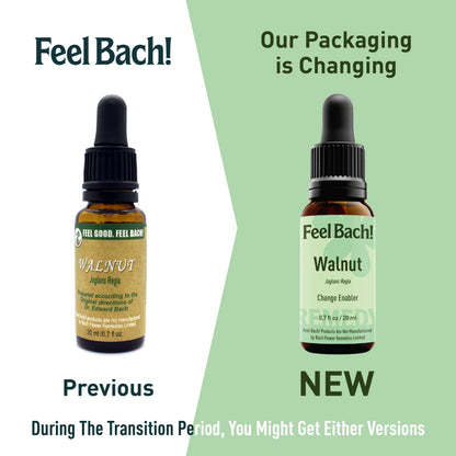 Walnut Flower Essence