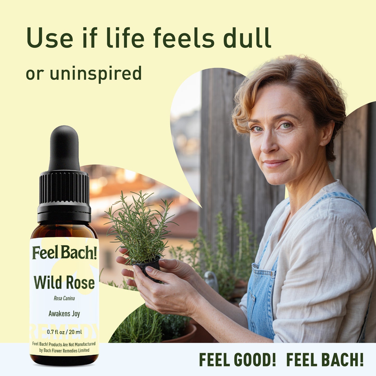 Wild Rose Flower Essence