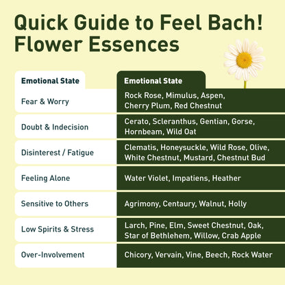 Wild Rose Flower Essence