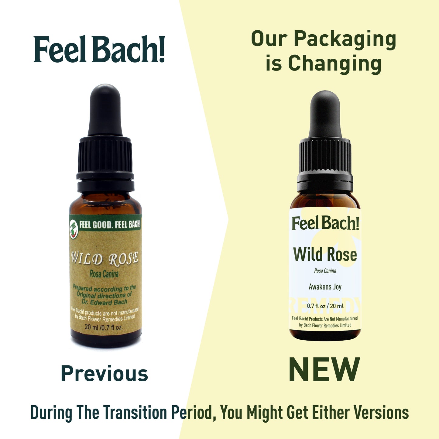 Wild Rose Flower Essence