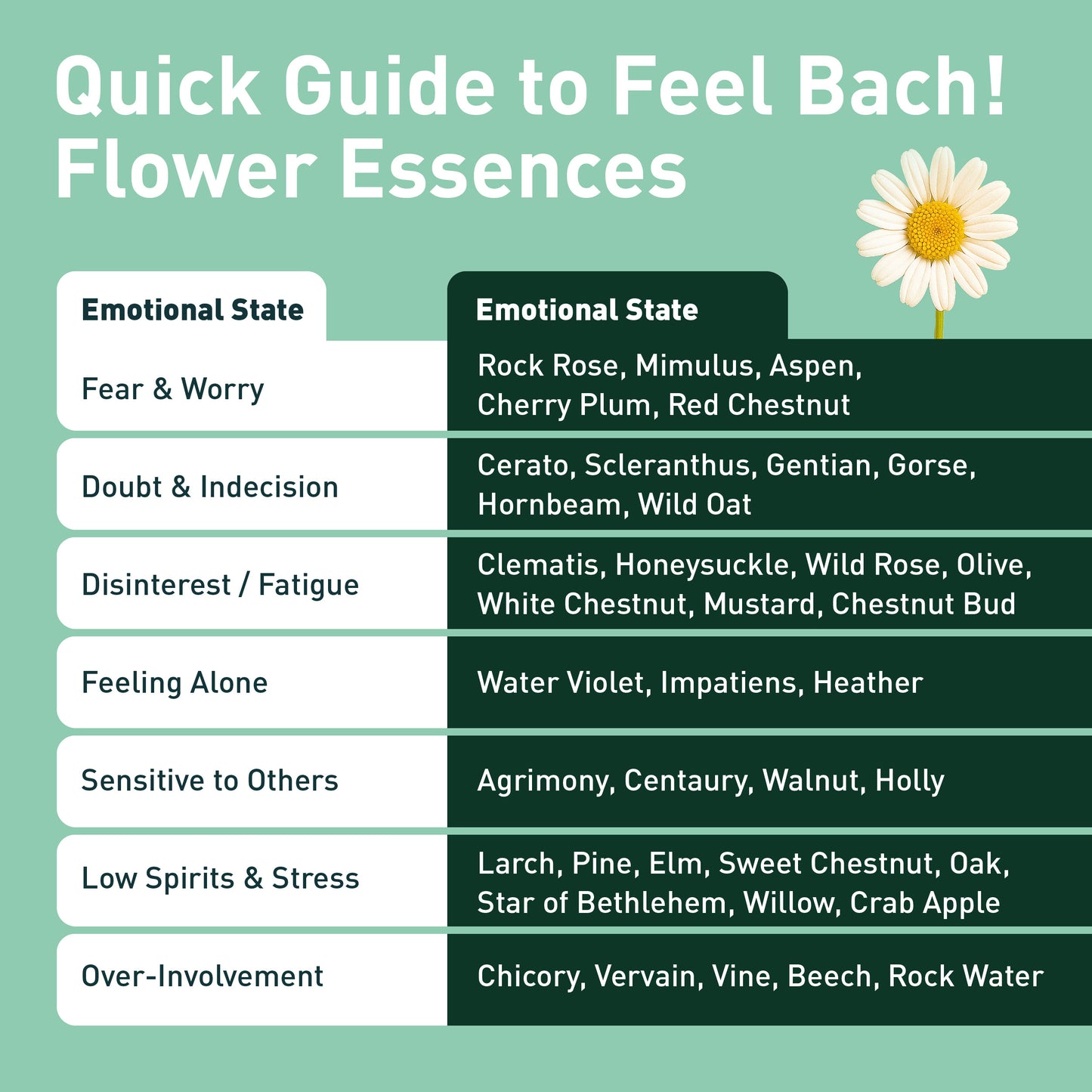 Heather Flower Essence