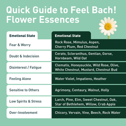 Heather Flower Essence