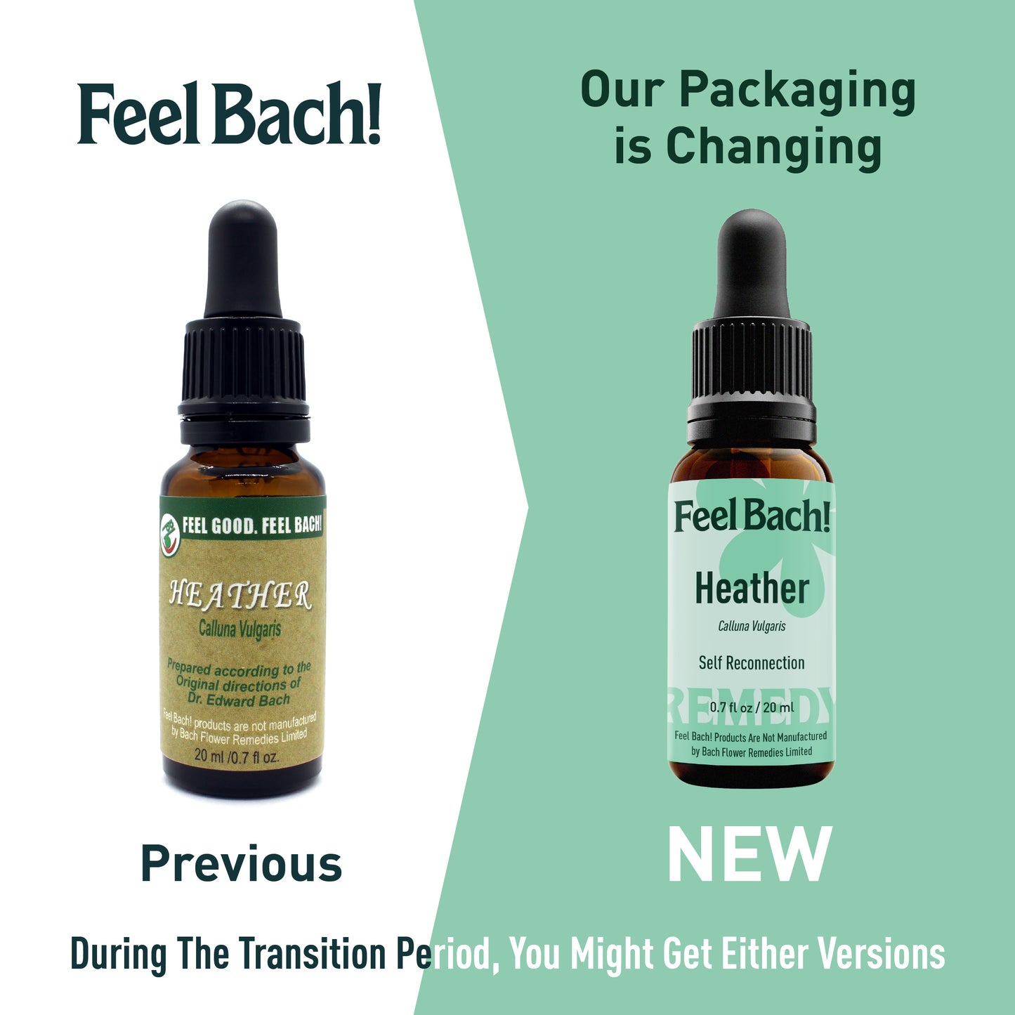 Heather Flower Essence