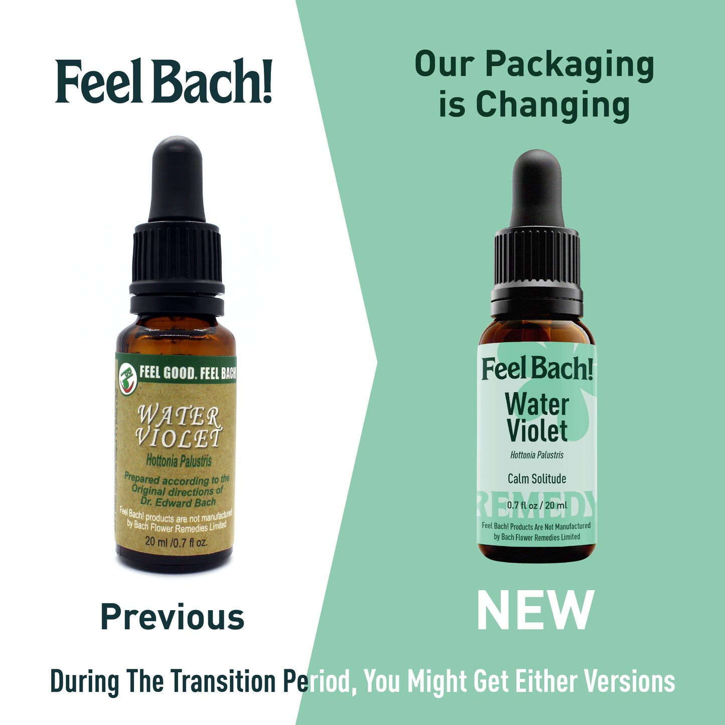 Water Violet Flower Essence