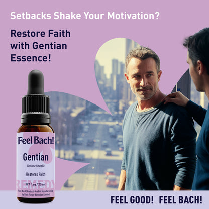 Gentian Flower Essence