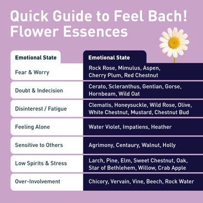 Gentian Flower Essence