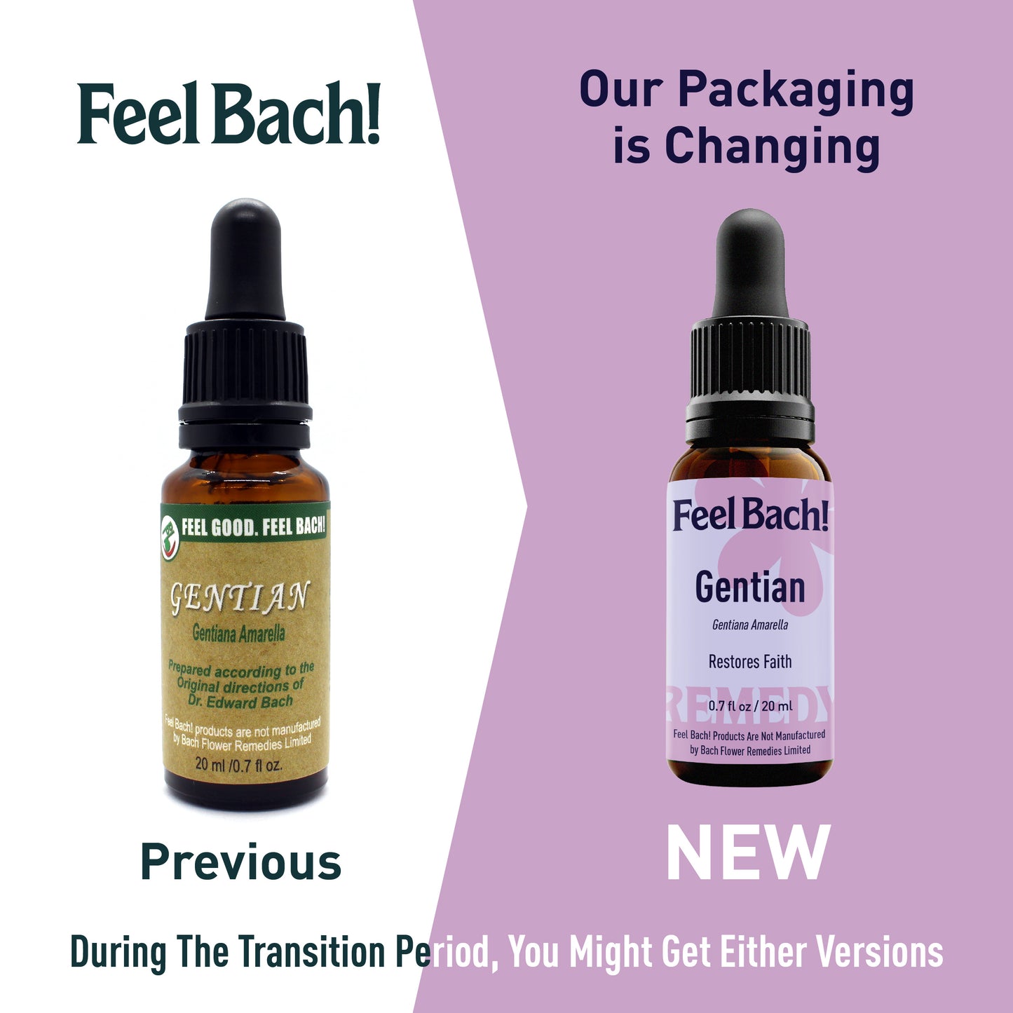 Gentian Flower Essence