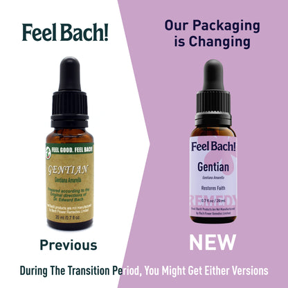 Gentian Flower Essence