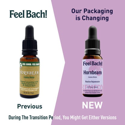 Hornbeam Flower Essence