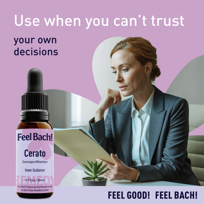 Cerato Flower Essence