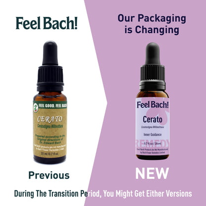 Cerato Flower Essence