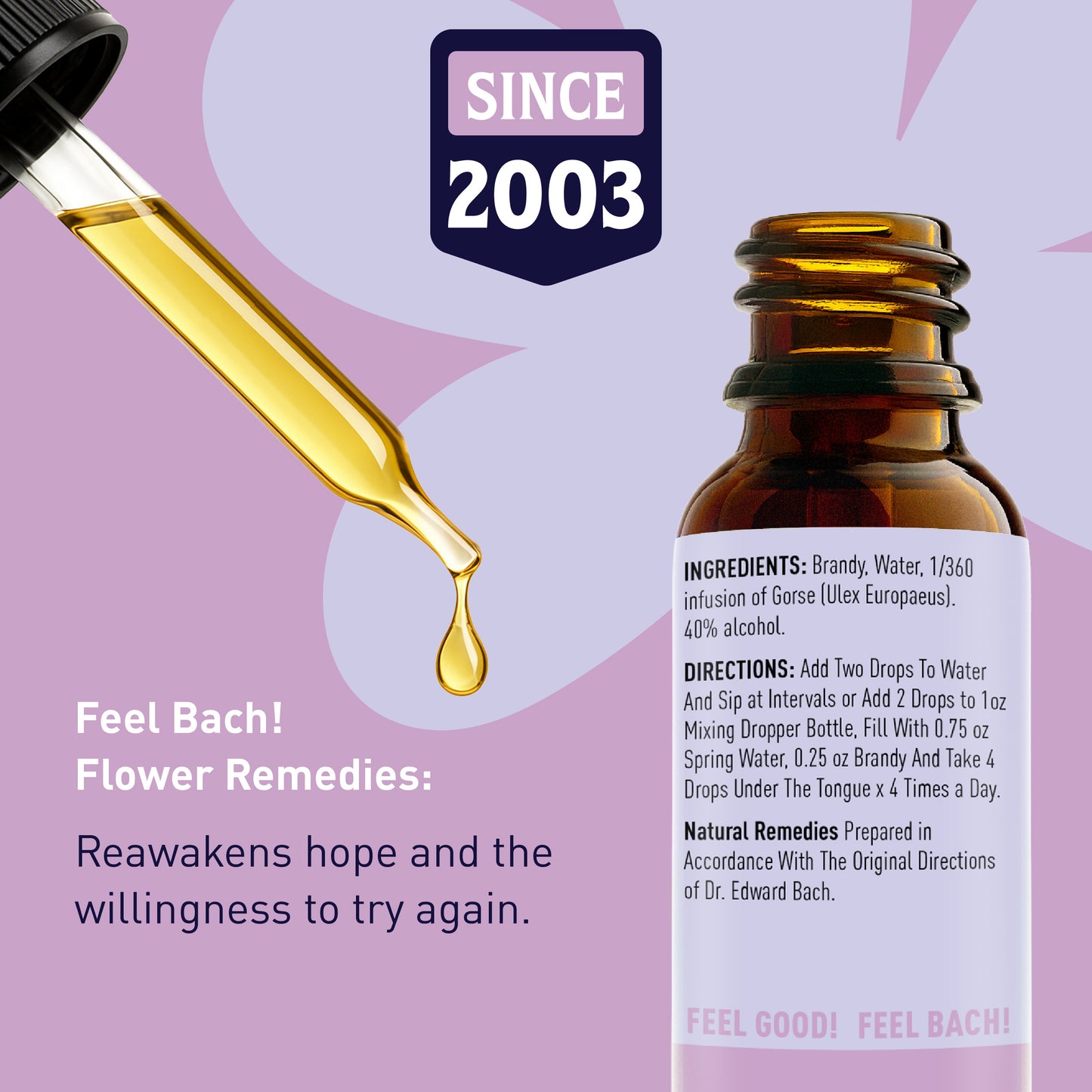 Gorse Flower Essence