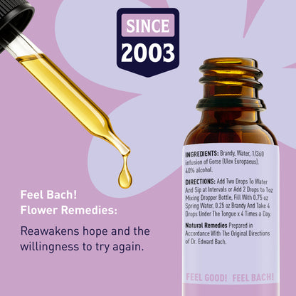 Gorse Flower Essence