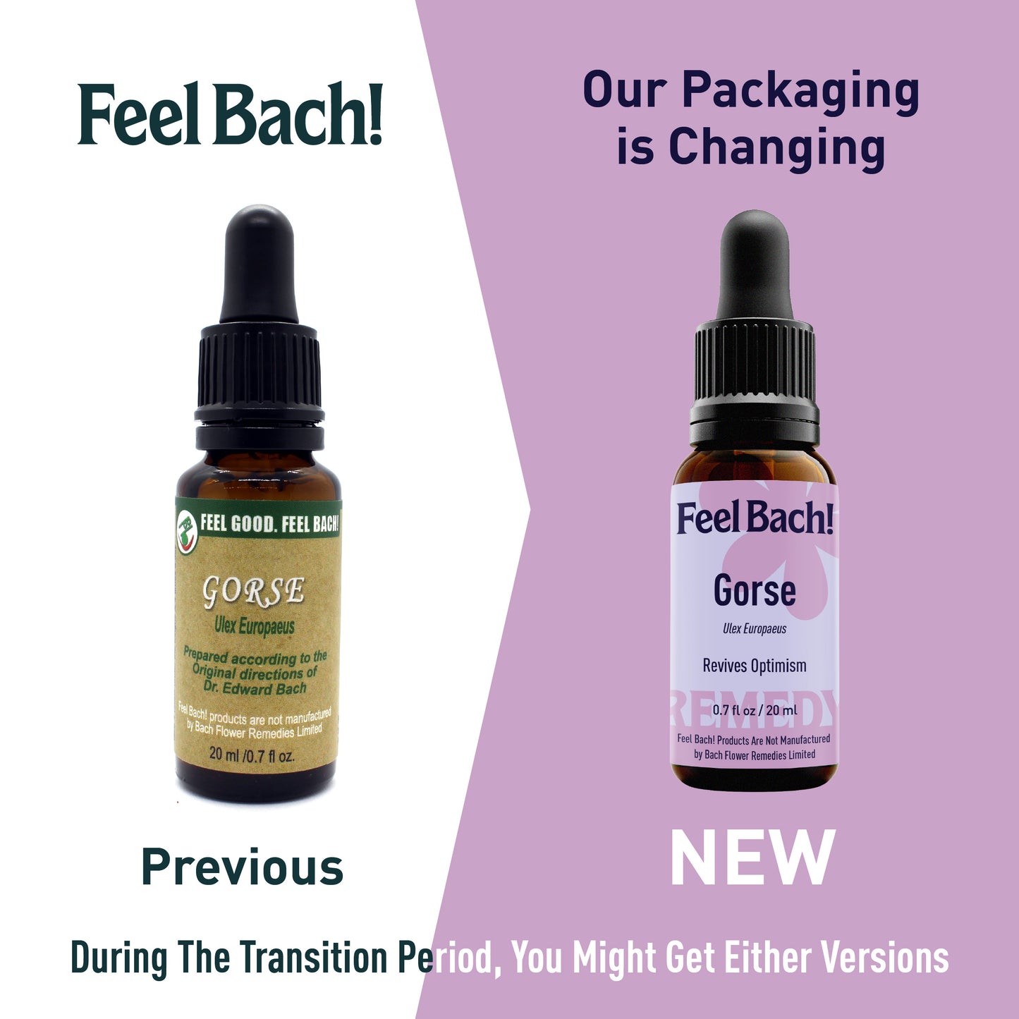 Gorse Flower Essence