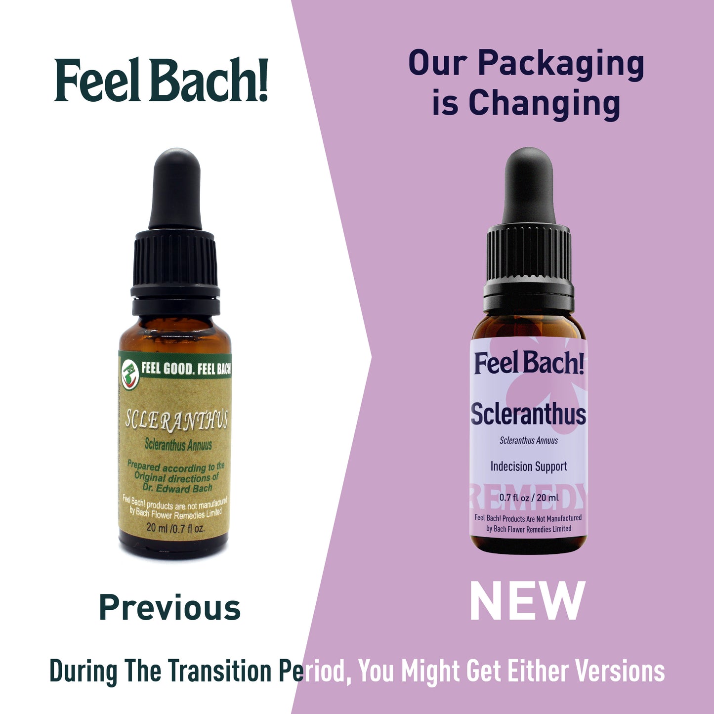 Scleranthus Flower Essence