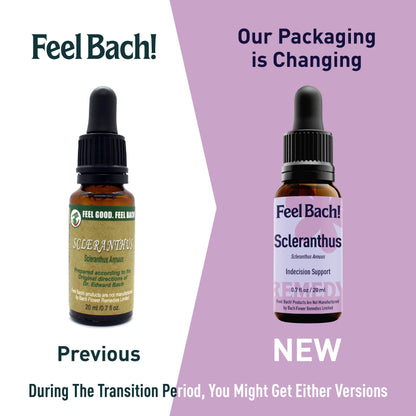 Scleranthus Flower Essence