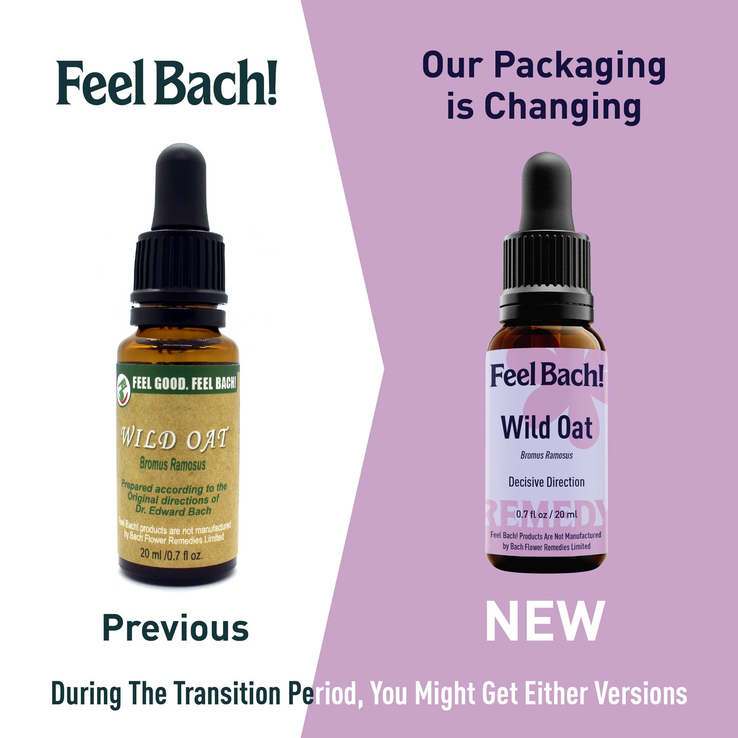 Wild Oat Flower Essence