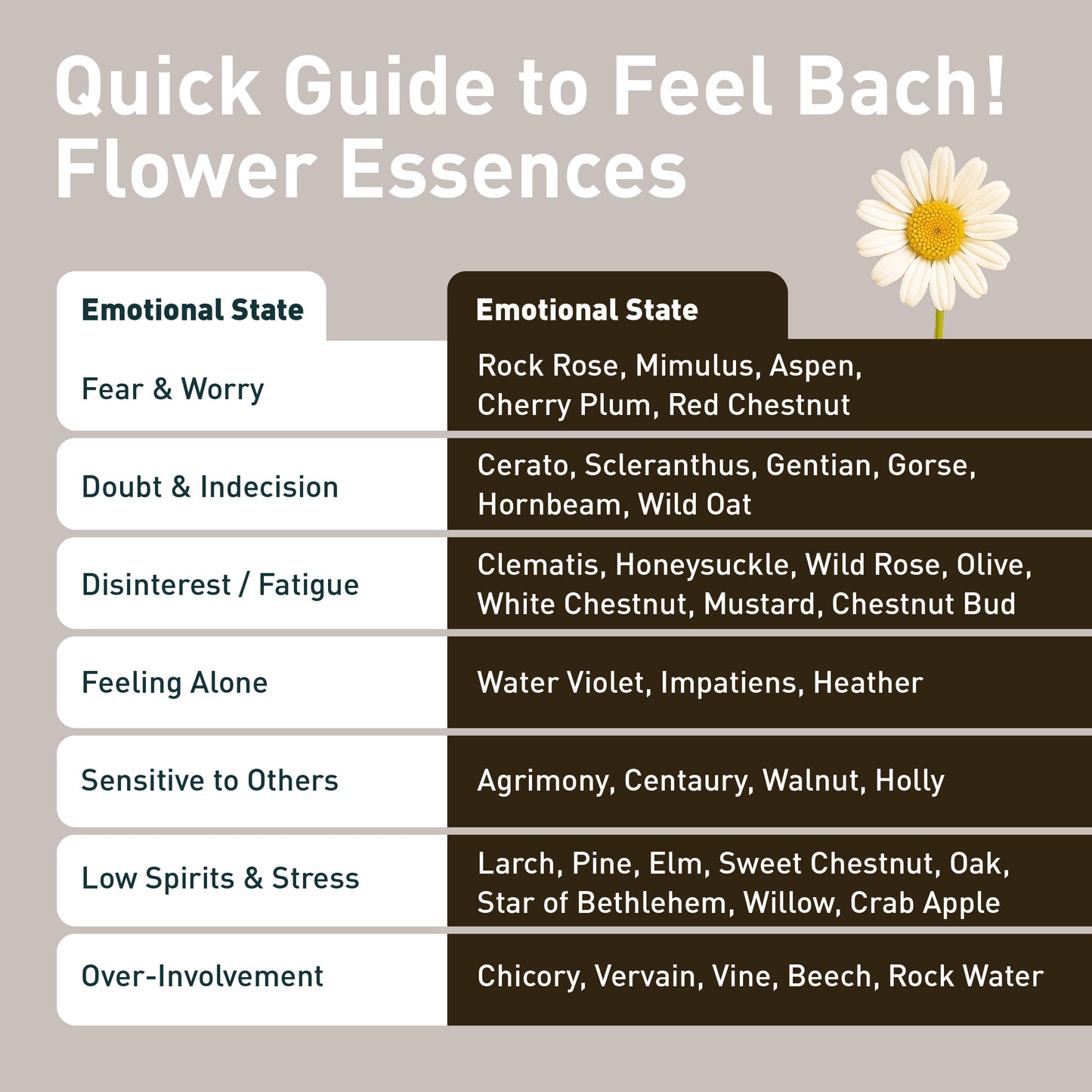 Beech Flower Essence