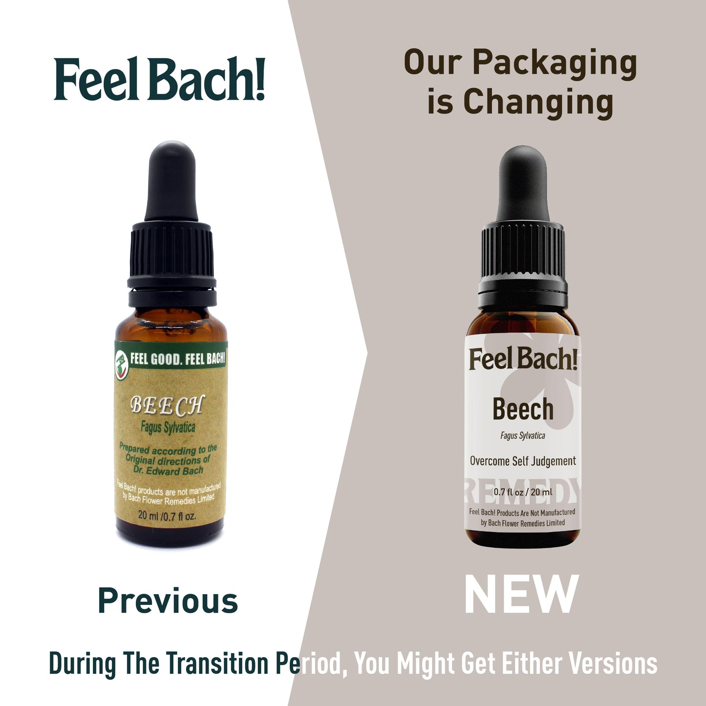 Beech Flower Essence