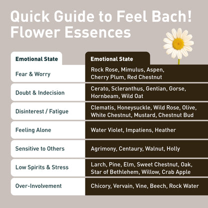 Rock Water Flower Essence