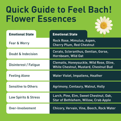 Feel Bach! Flower Questionnaire - Your personal blend