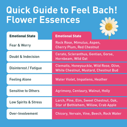 Women Weight Loss Drops - FeelFit