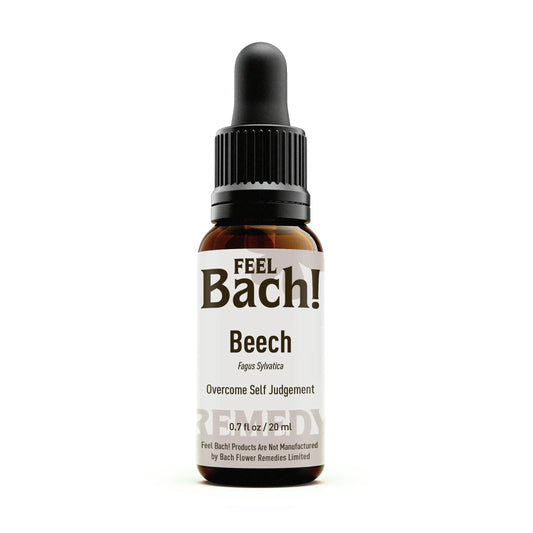 Beech Flower Essence