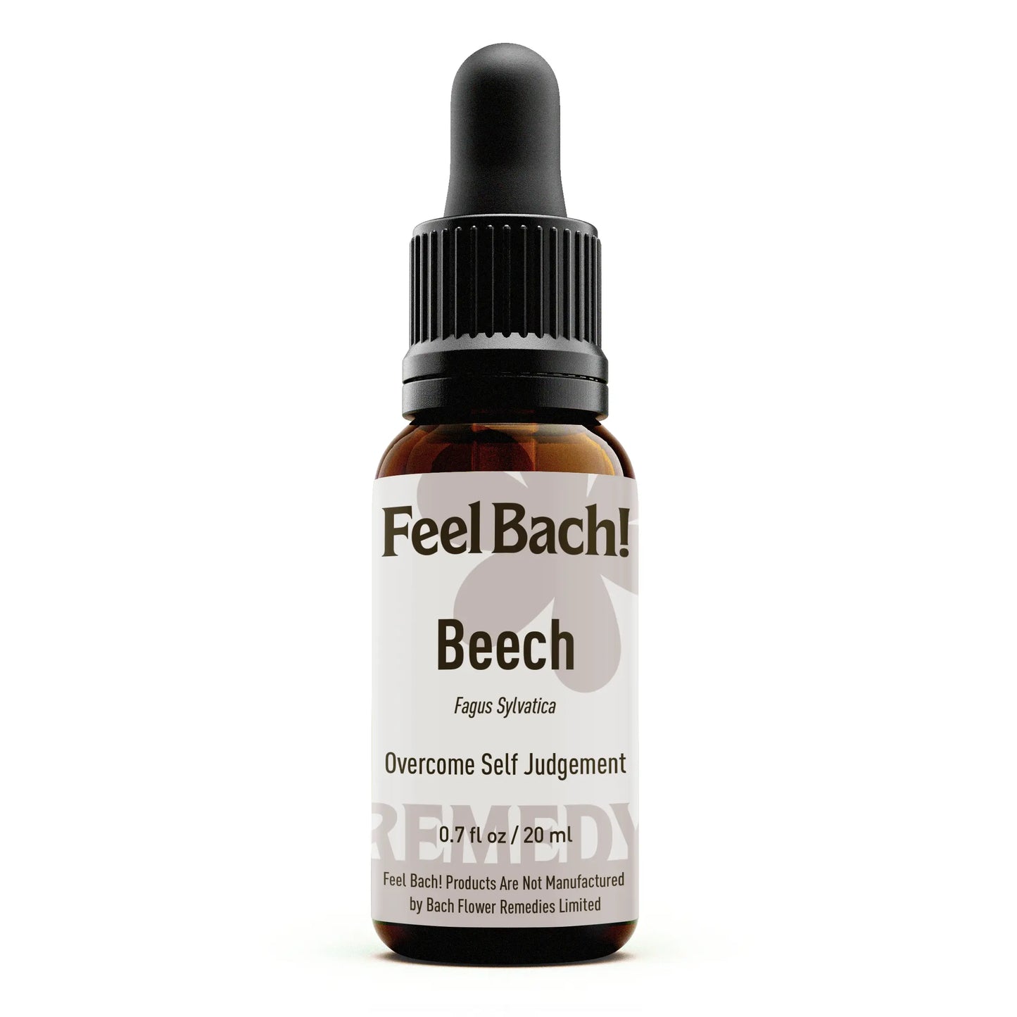 Beech Flower Essence