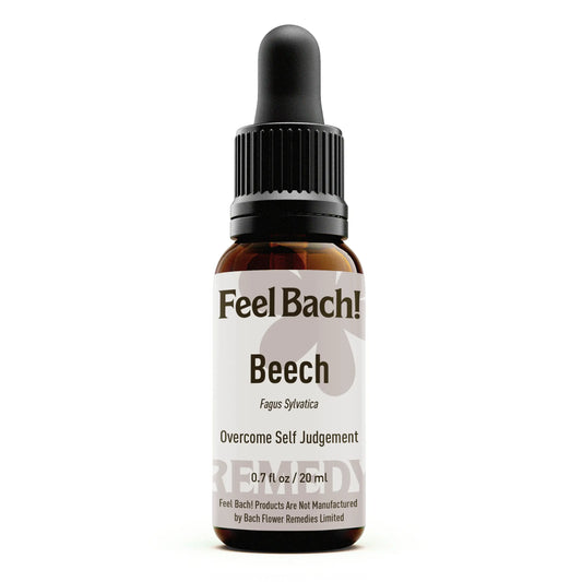 Beech Flower Essence