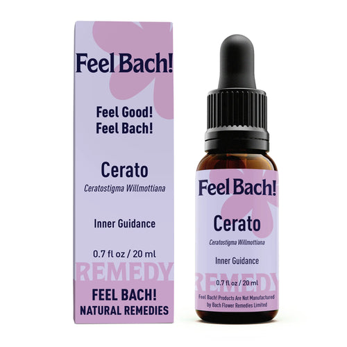 Cerato Flower Essence