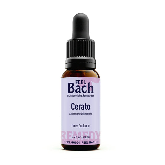 Cerato Flower Essence