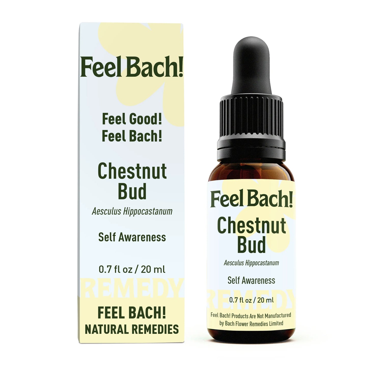 Chestnut Bud Flower Essence