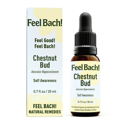 Chestnut Bud Flower Essence