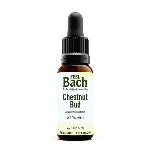 Chestnut Bud Flower Essence