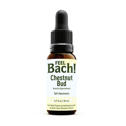 Chestnut Bud Flower Essence