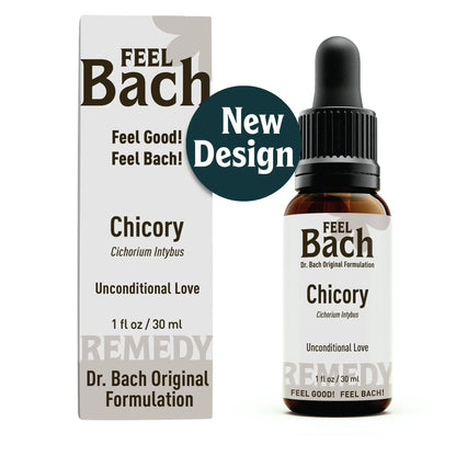 Chicory Flower Essence