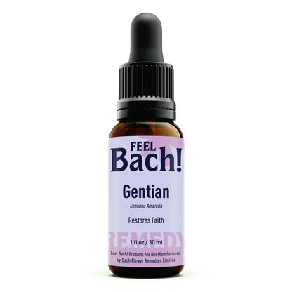 Gentian Flower Essence