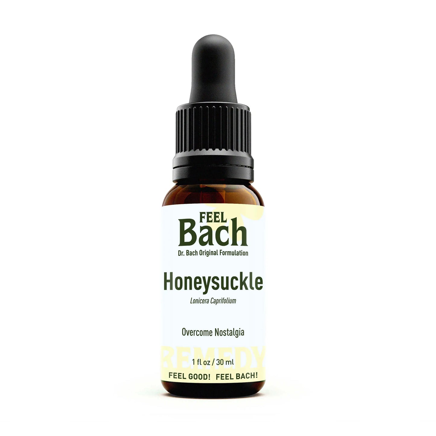 Honeysuckle