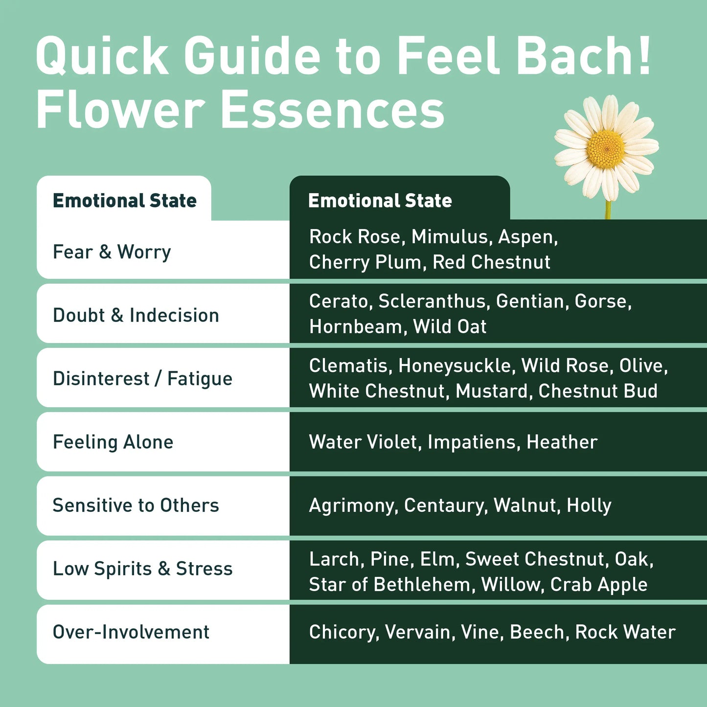 Impatiens Flower Essence