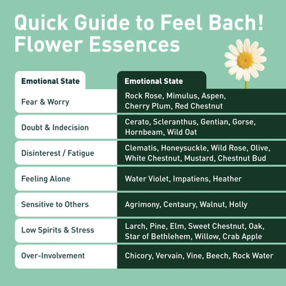 Impatiens Flower Essence