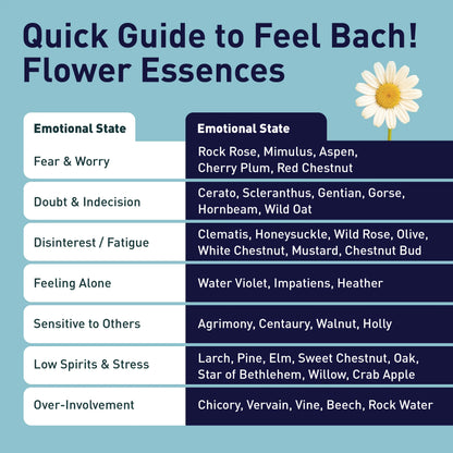Larch Flower Essence