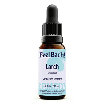 Larch Flower Essence