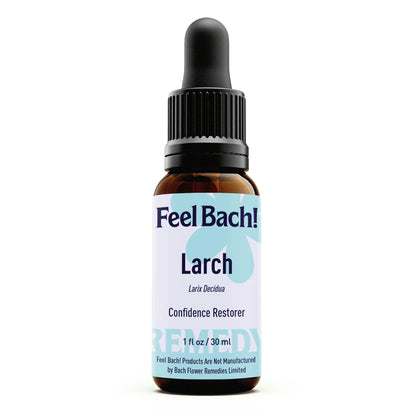 Larch Flower Essence