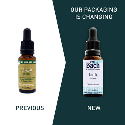 Larch Flower Essence