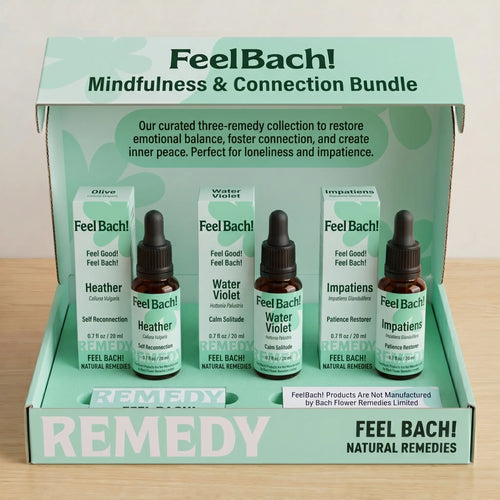 Mindfulness & Connection Bundle